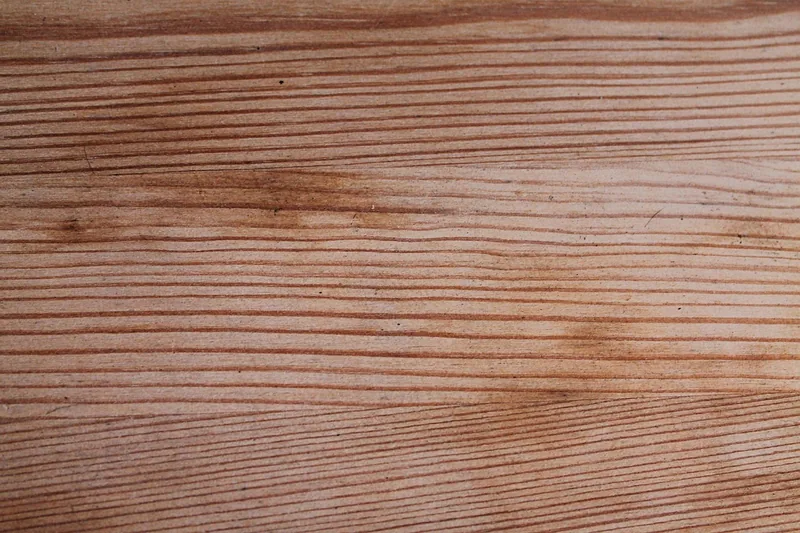 Close-up of softwood grain showing alternating light and dark growth bands