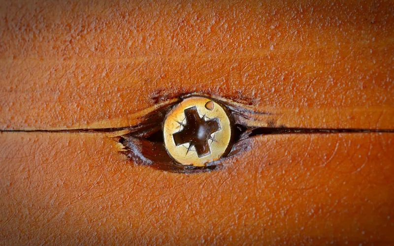 Chewed-up cross-recess screw head sitting in a split wood board