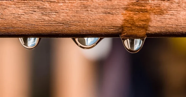 Water drops hanging from the underside of a wooden rail after rain