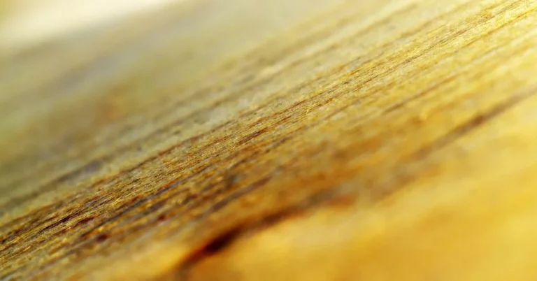 Warm wood veneer grain in soft focus, the face layer of a plywood sheet