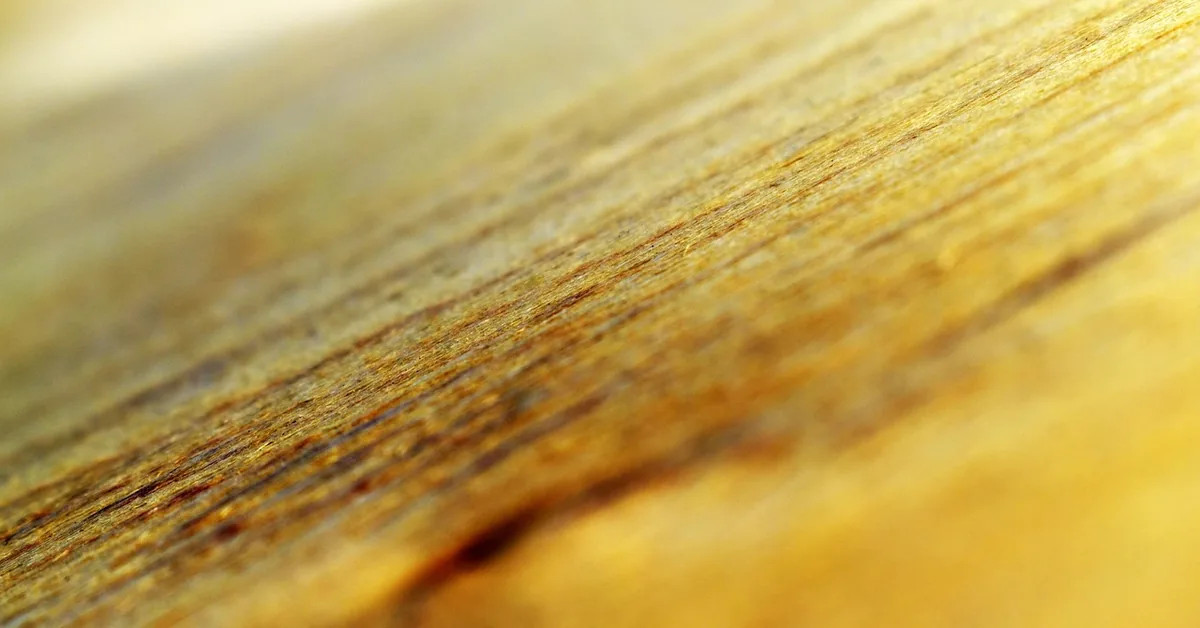 Warm wood veneer grain in soft focus, the face layer of a plywood sheet