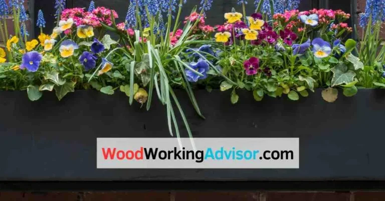 Wood window flower box filled with colorful pansies mounted on a brick exterior