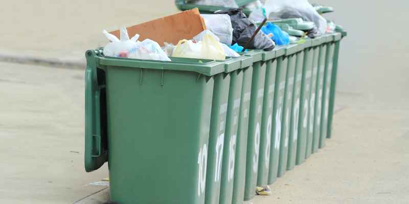 Can I Put Wood in Green Bin