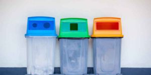 Can I Put Wood in Green Bin