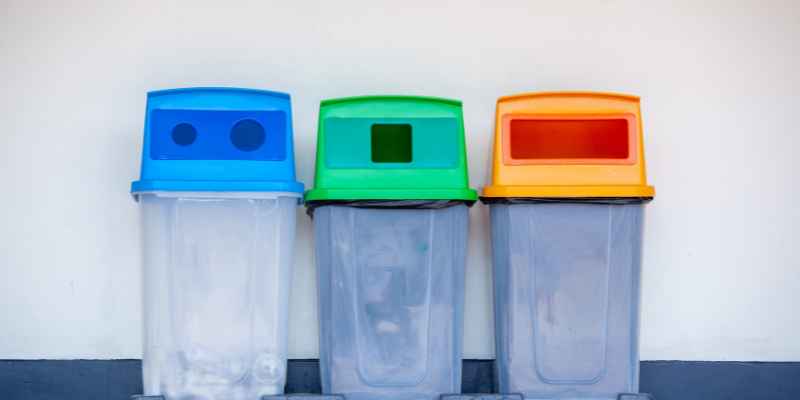 Can I Put Wood in Green Bin