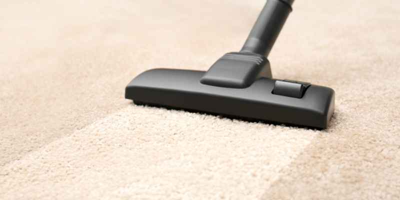 Can I Use Mr Clean on Wood Floors