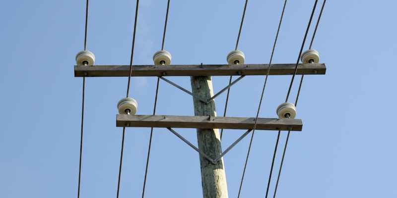 Can You Burn Telephone Pole Wood