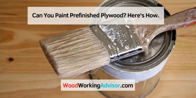 Can You Paint Prefinished Plywood