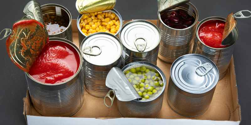 Can You Use Kilz on Wood