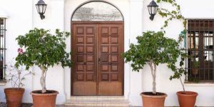 Discover the Best Type of Wood Door Frame