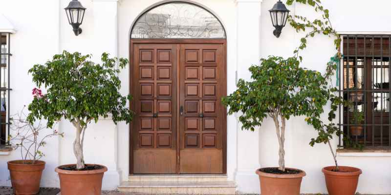Discover the Best Type of Wood Door Frame