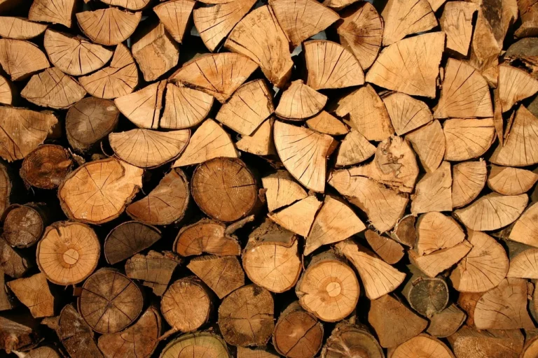 Stacked firewood logs ready for drying