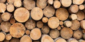 How Long Does a Rick of Wood Last