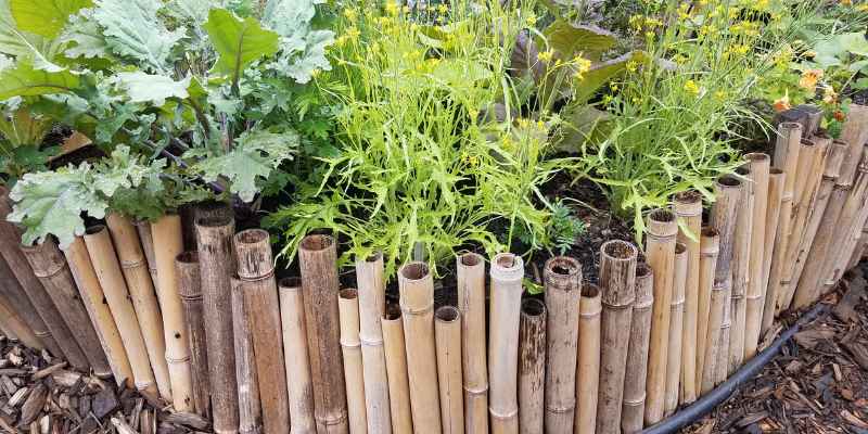 How to Make a Wood Garden Border