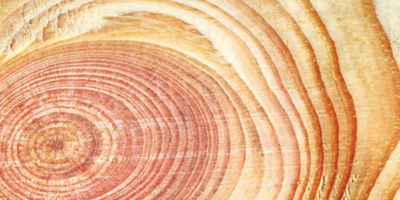 How to Raise the Grain on Wood