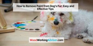 Behr vs Sherwin Williams Paint: Essential Choice!