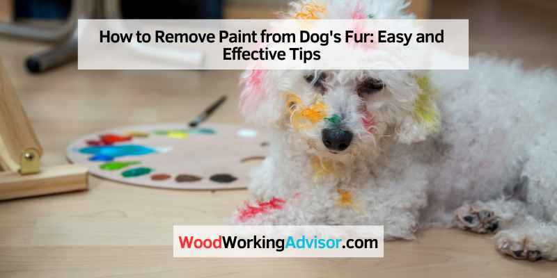 How to Remove Paint from Dog's Fur