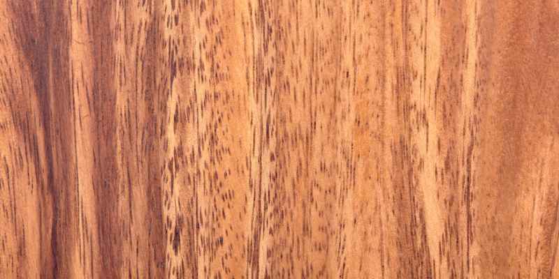 Is Acacia Wood Sustainable