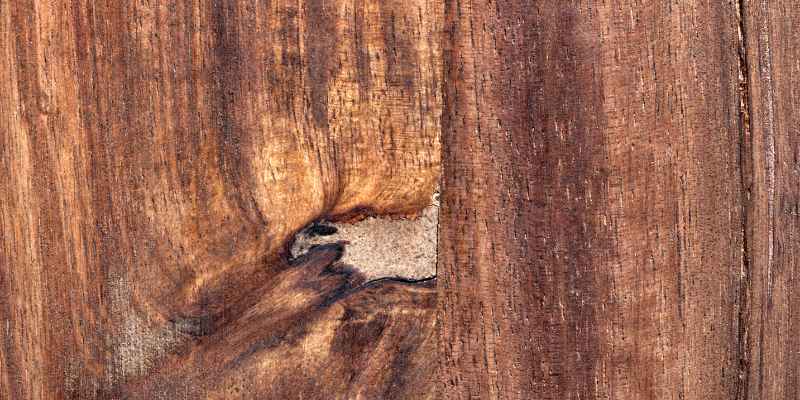 Is Acacia Wood Water Resistant