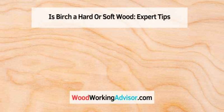 Is Birch a Hard Or Soft Wood