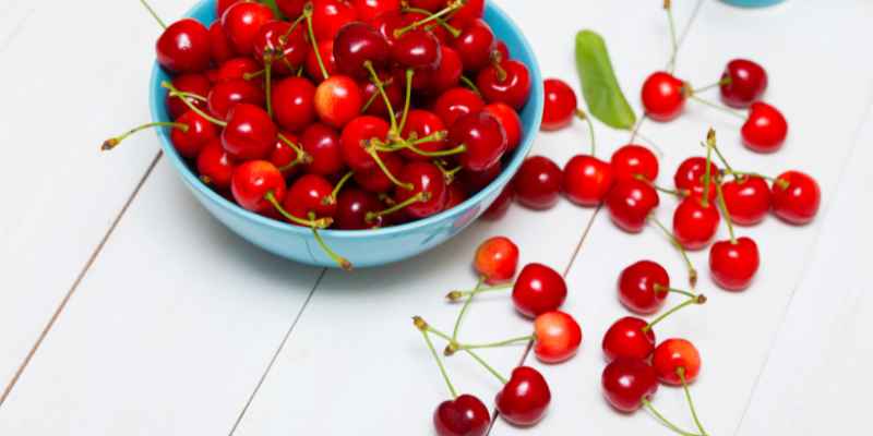 Is Cherry Wood Toxic