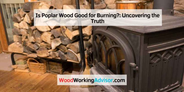 Is Poplar Wood Good for Burning