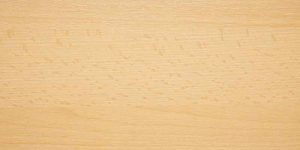 What Colour Is Beech Wood? (Natural Tone vs Stained)