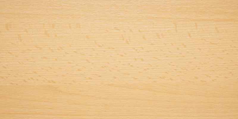 What Colour is Beech Wood