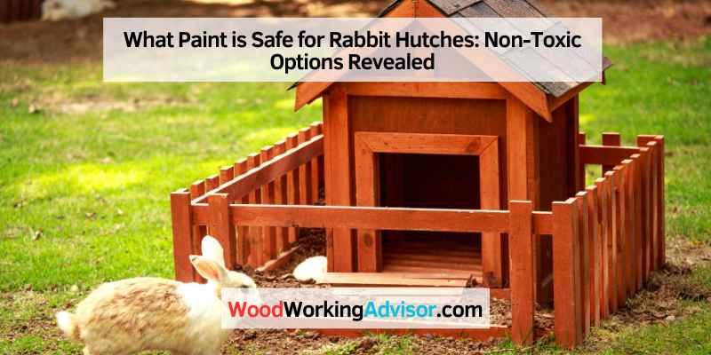 What Paint is Safe for Rabbit Hutches