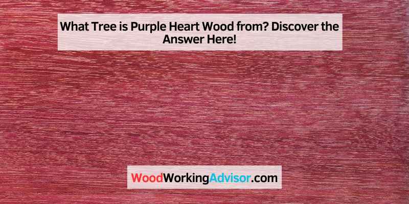 What Tree is Purple Heart Wood from