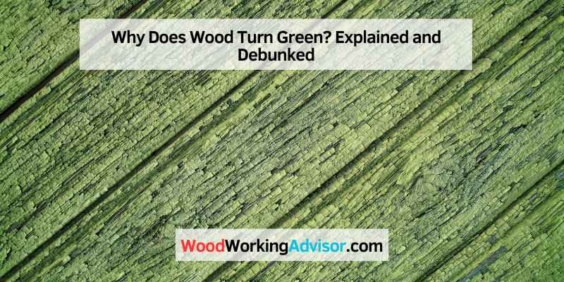 Why Does Wood Turn Green