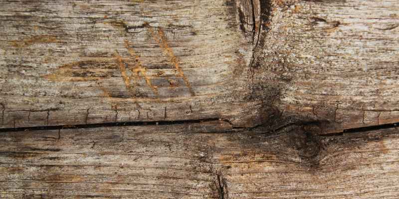 Will Bleach Stop Wood Rot