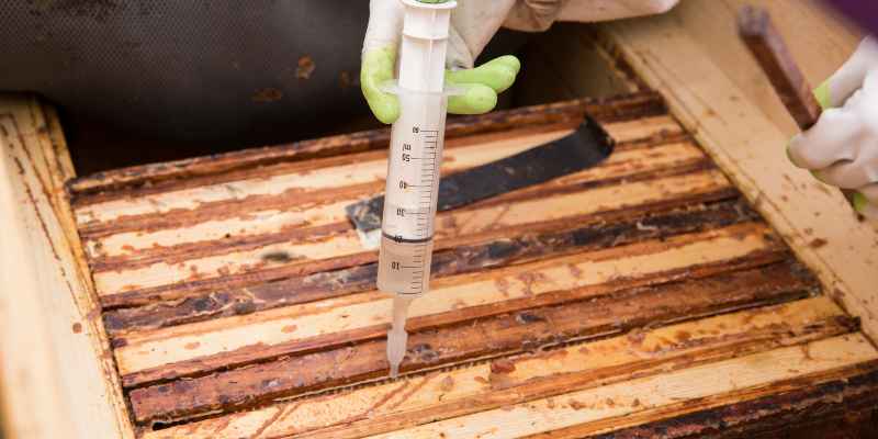 Will Polyurethane Kill Bugs in Wood