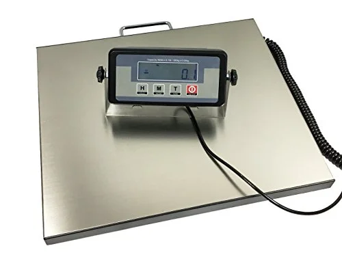 Angel USA 400 pound capacity digital platform scale