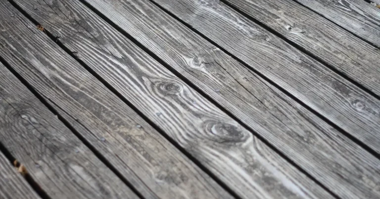 close-up of weathered wood deck boards with dark mold and mildew discoloration in the grain