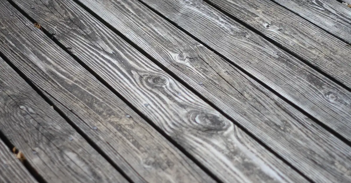 close-up of weathered wood deck boards with dark mold and mildew discoloration in the grain