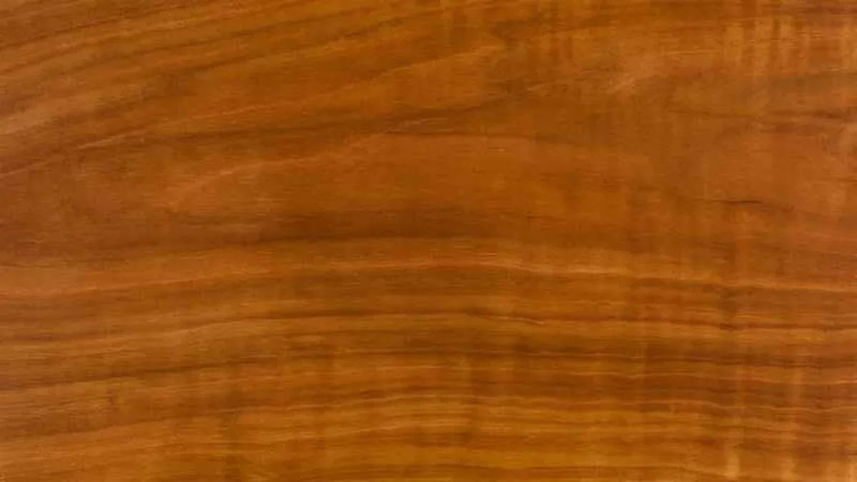 Close-up of cherry wood grain showing its warm reddish-brown color and fine straight grain