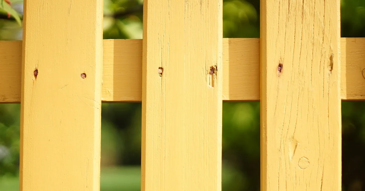 freshly painted yellow wood fence pickets showing an even protective paint coat