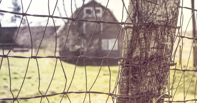 welded wire mesh hardware cloth stapled and wired to a wooden fence post outdoors