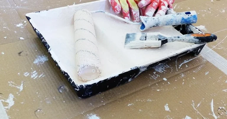 Paint roller, tray, and brush used for applying a topcoat over Kilz primer