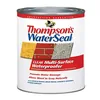 quart can of Thompsons WaterSeal clear waterproofing wood sealer