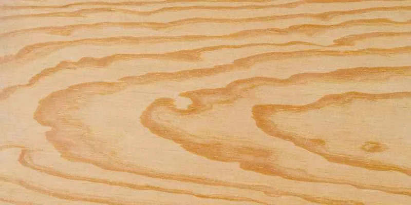 Close-up of raised wood grain texture after wetting the surface