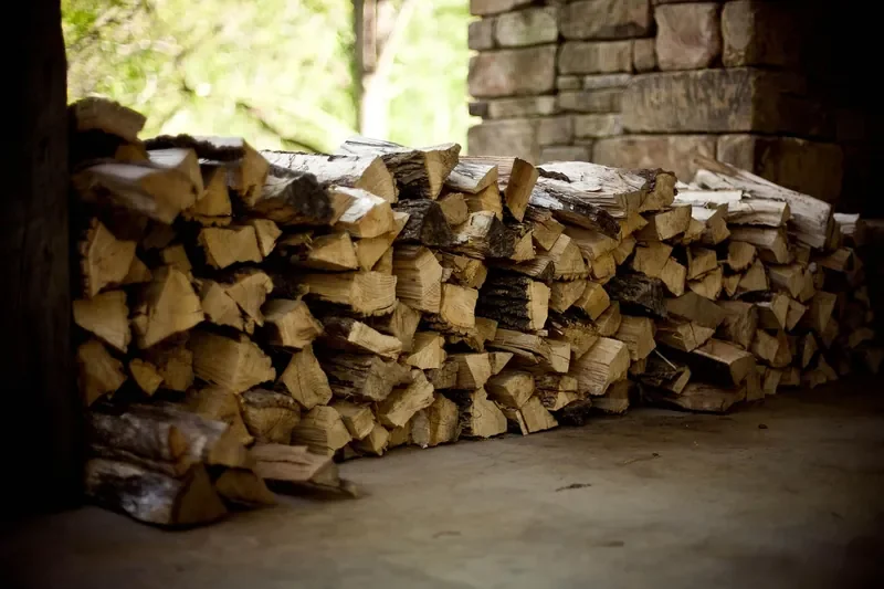 Split firewood stacked under cover to season