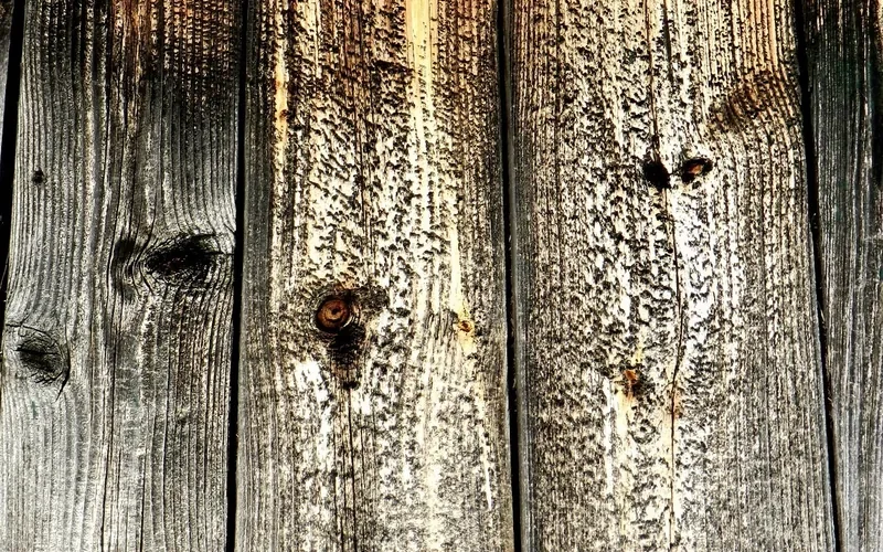 Weathered gray knotty wood boards with cracks and splinters from outdoor exposure