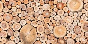Weighing a bundle of firewood with a platform scale