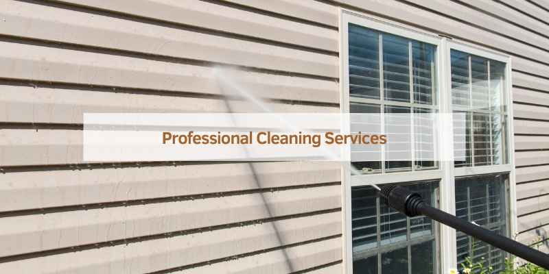 Best Way to Clean Cedar Siding
