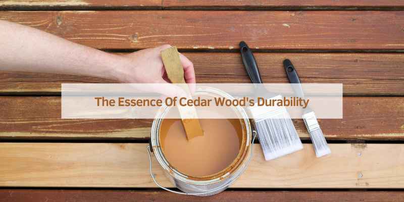 Can Cedar Wood Get Wet