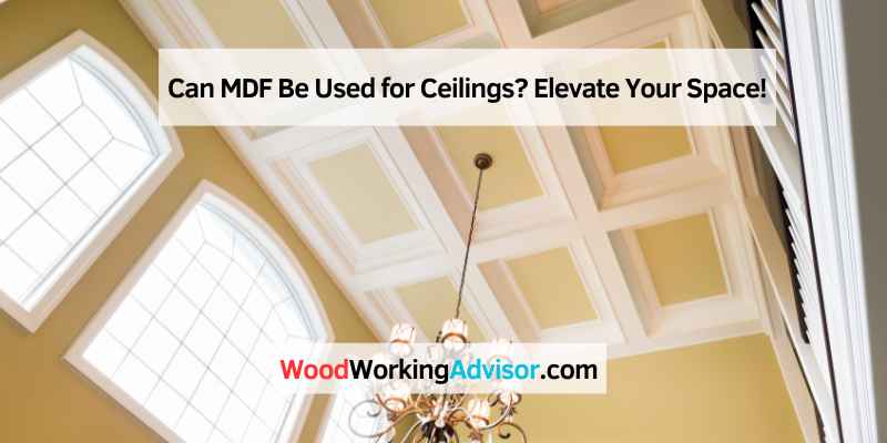 Professional Tips And Tricks