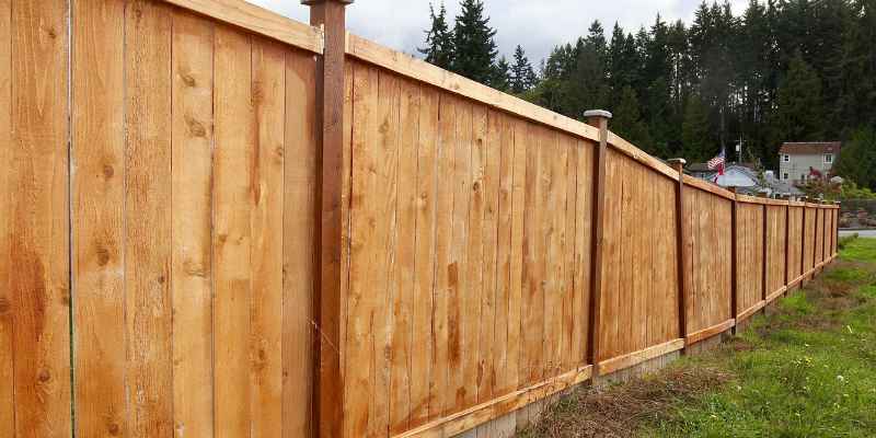 Cedar Vs Pressure Treated
