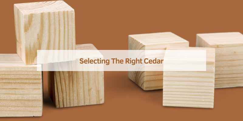 Cedar Wood Blocks